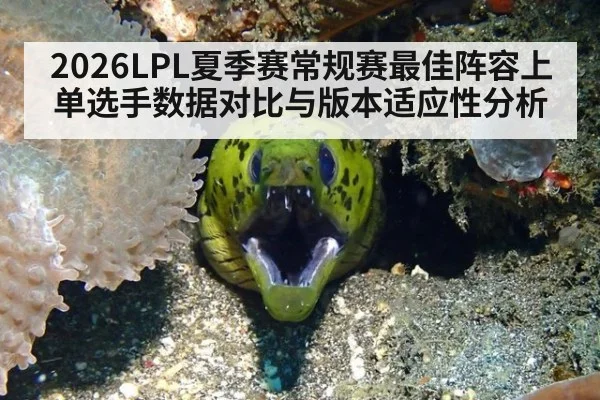 2026LPL夏季赛常规赛最佳阵容上单选手数据对比与版本适应性分析